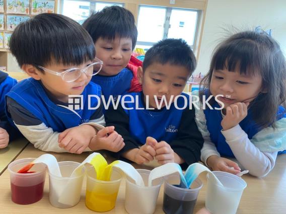 DSHK (Dalton School Hong Kong), Little Dalton, miniDalton