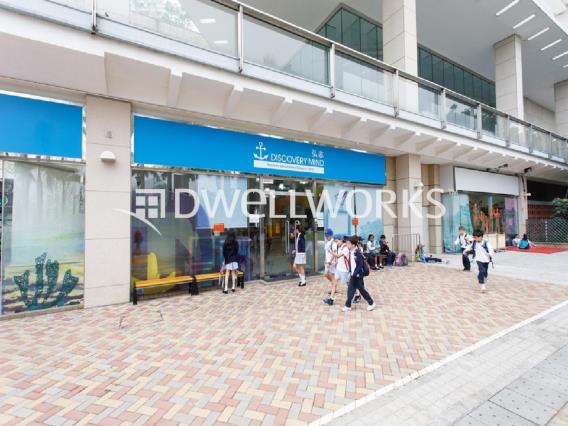Discovery Mind Primary School (Tung Chung)